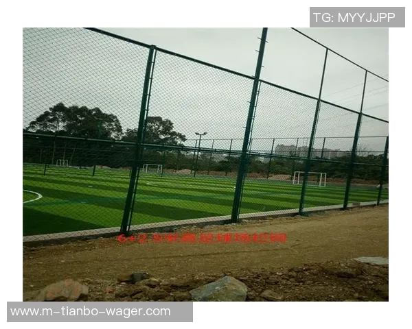 河北足球场围网价格分析及市场行情趋势解读